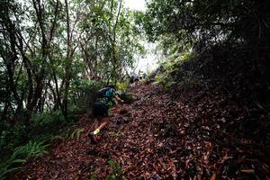 BIB: 
                            <button type="button" onclick="openModal(26201152)" class="btn btn-primary btn-sm float-right btn-popup" data-toggle="modal" data-target=".modal-high-quality">
                        <i class="fas fa-shopping-cart"></i> Add to Cart
                    </button>
                                            <button type="button" onclick="isThisMe(26201152, true)" class="btn btn-success btn-sm float-right btn-popup btn-isme hidden" data-toggle="tooltip" data-placement="bottom" title="นี่คือรูปของคุณใช่ไหม คลิกที่นี่เพื่อเอาเข้าอัลบั้ม">
                        <i class="fas fa-plus"></i> Add to album
                    </button>
                    <button type="button" onclick="isThisMe(26201152, false)" class="btn btn-warning btn-sm float-right btn-popup btn-isnotme hidden">
                        <i class="fas fa-ban"></i> Remove from album
                    </button>